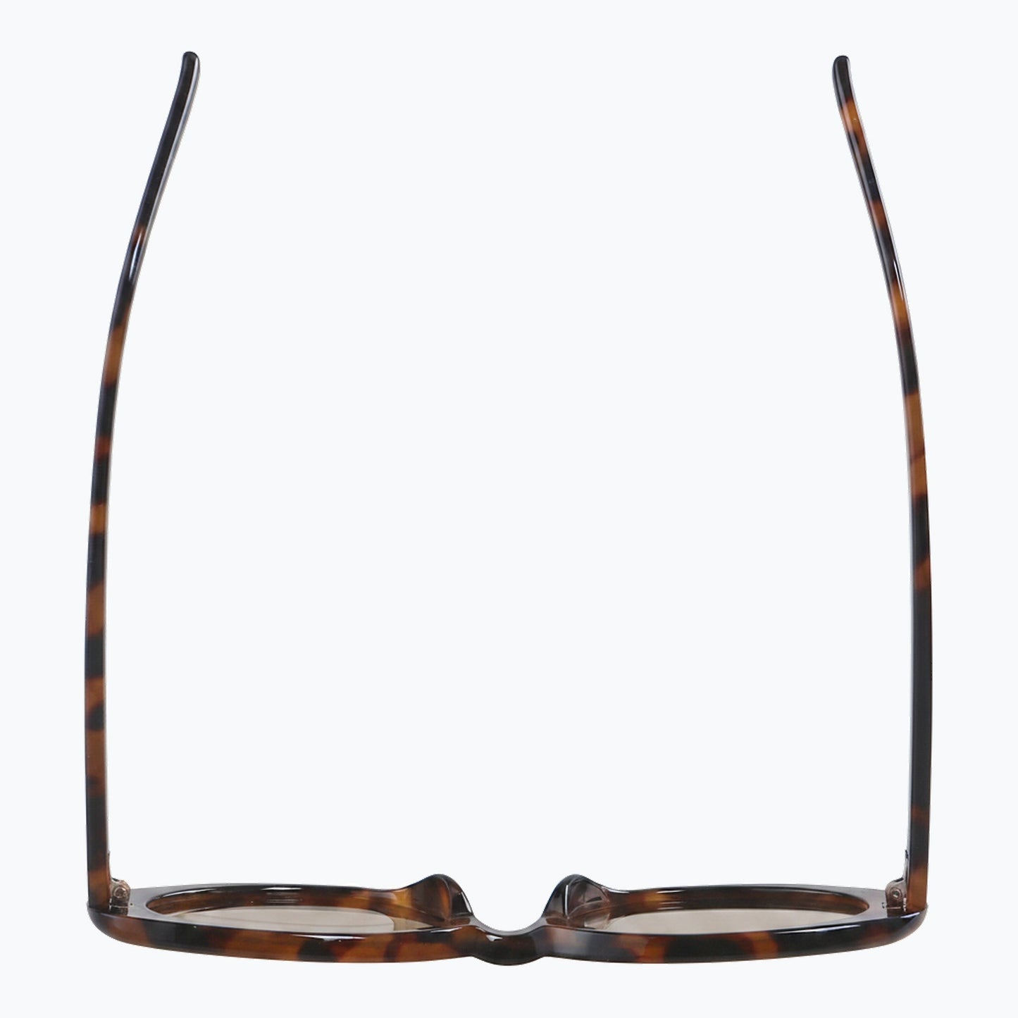 Scarlet Jaxy Eyewear
