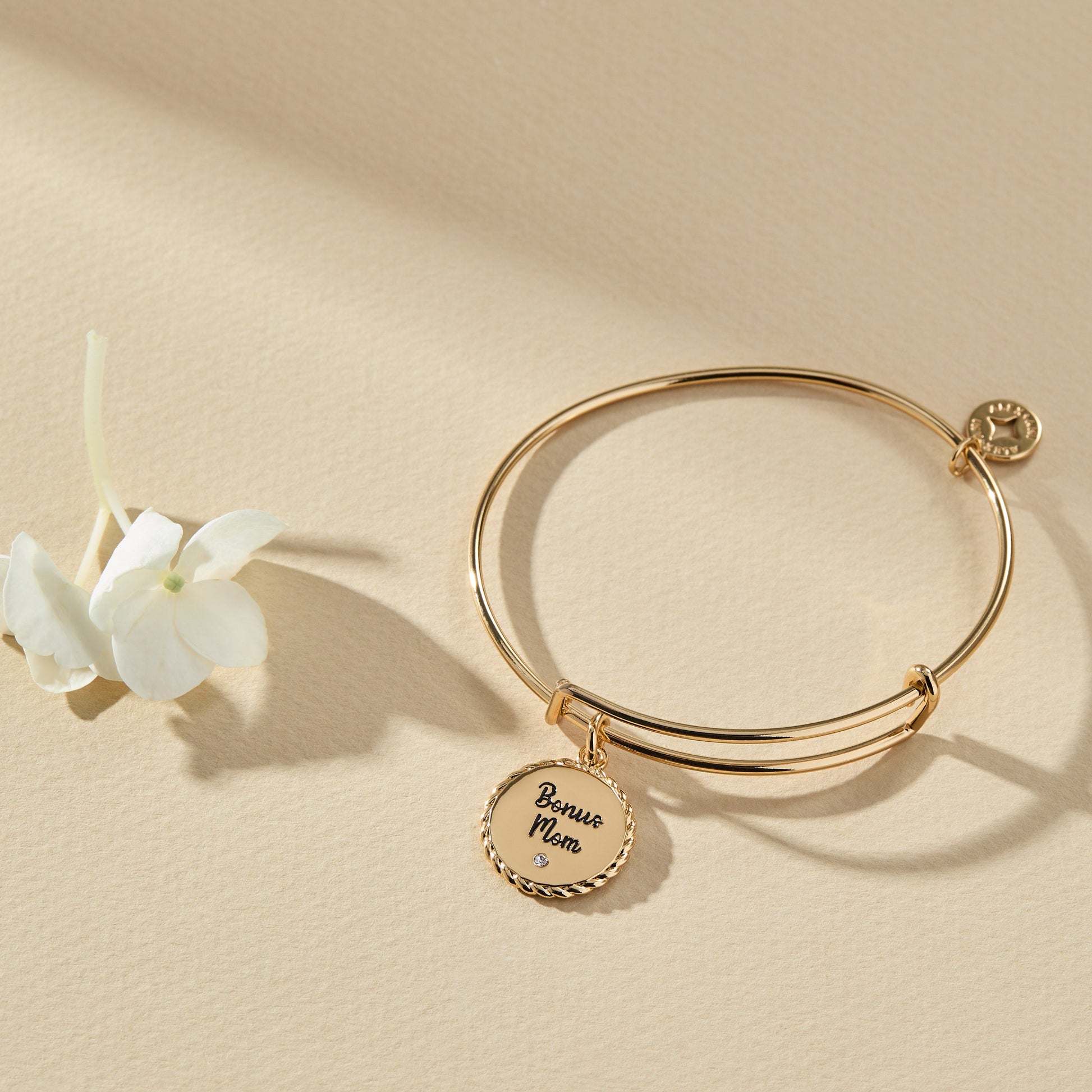 Bonus Mom 'Family Isn't Only Blessed By Name' Charm Bangle ALEX AND ANI