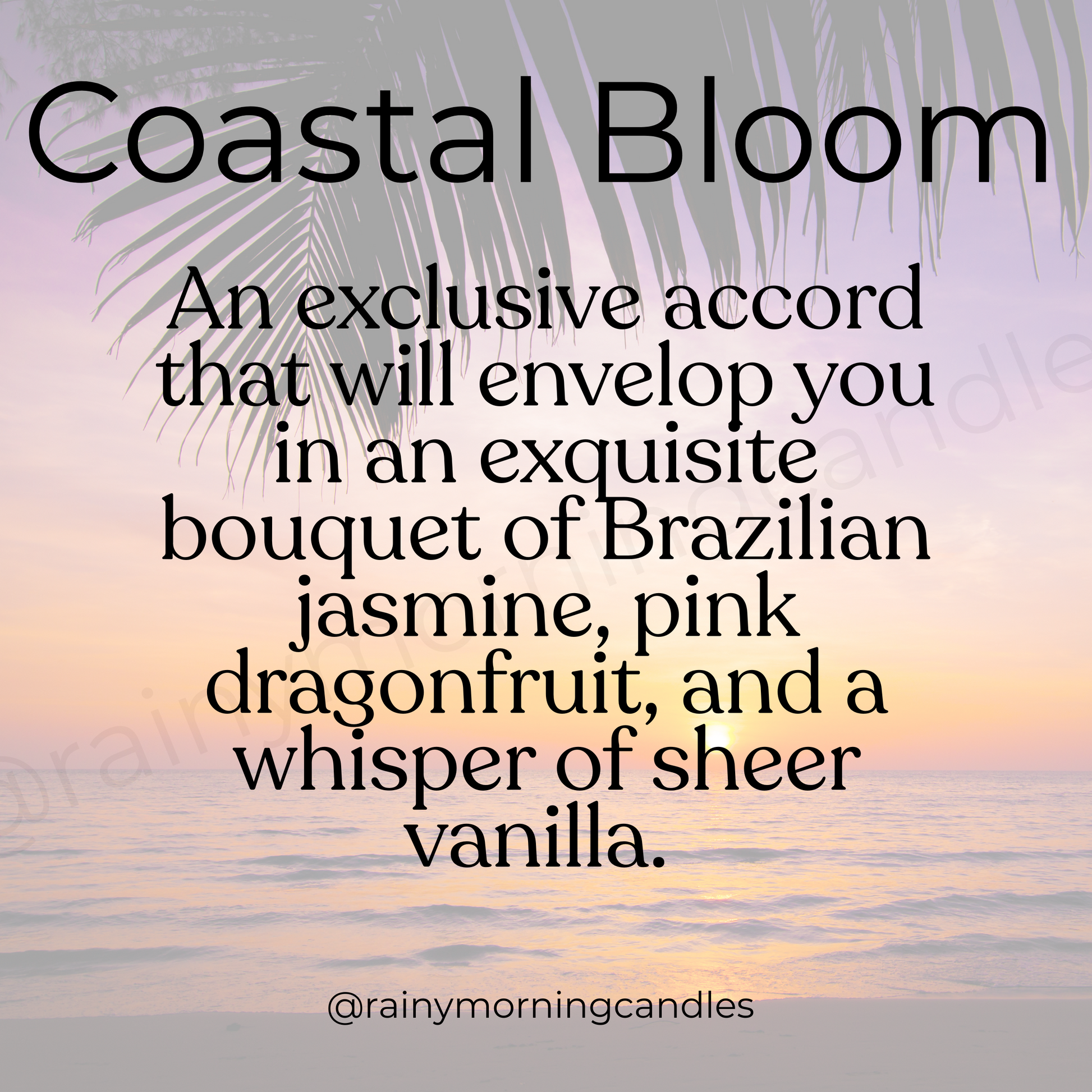 Coastal Bloom | Beija Flor Cheirosa 68 Inspired Wax Melts Rainy Morning Candles
