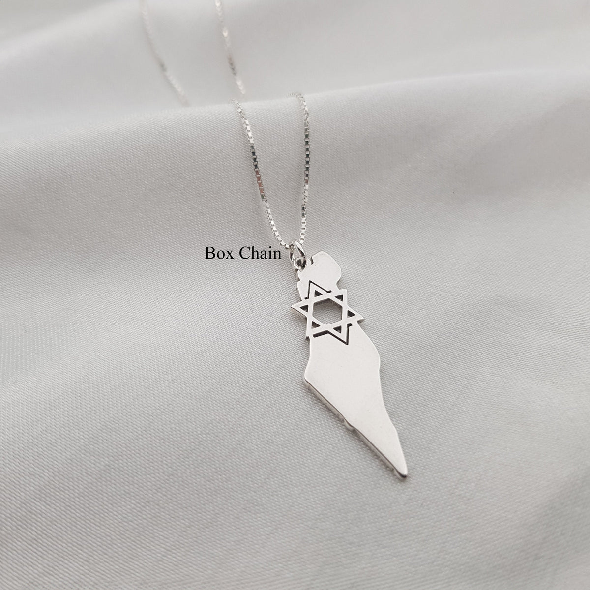 Israel Map Star of David Necklace