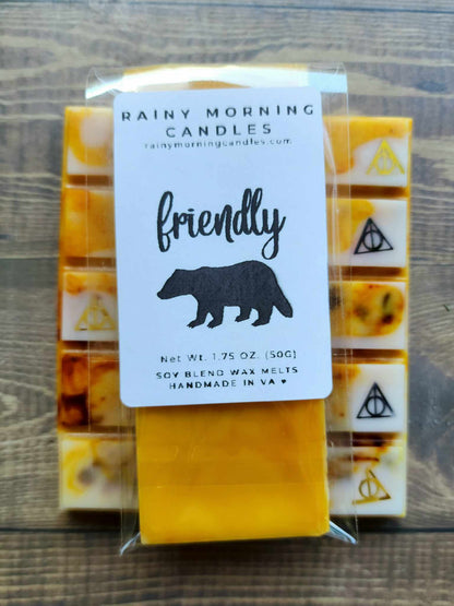 Friendly | Sorting Collection | HP Inspired Wax Melts Rainy Morning Candles
