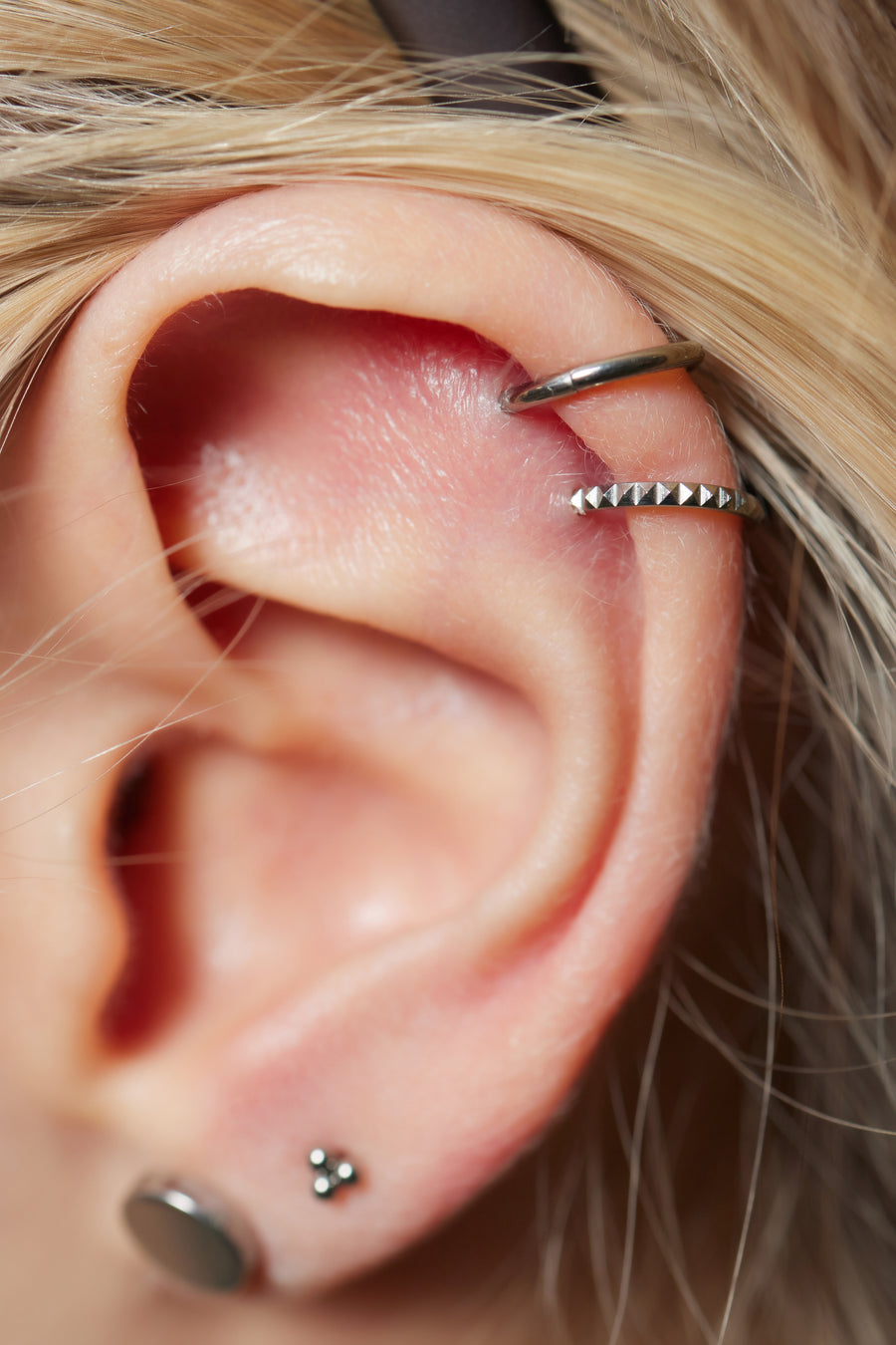 Cartilage