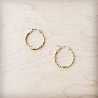 **Small Stainless Steel Hoop Earrings 18K Gold Plating 219a