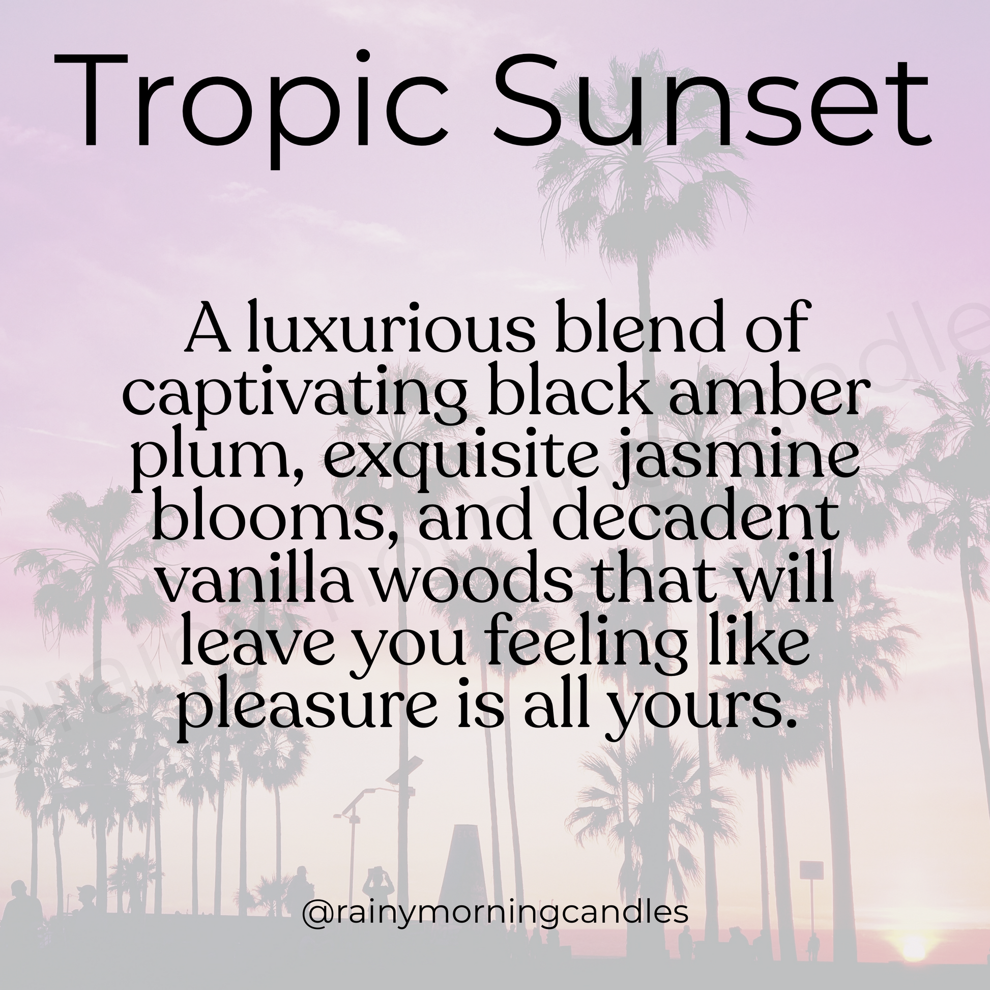 Tropic Sunset | Bom Dia Bright Cheirosa 40 Inspired Wax Melts Rainy Morning Candles