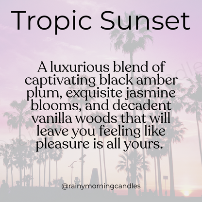 Tropic Sunset | Bom Dia Bright Cheirosa 40 Inspired Wax Melts Rainy Morning Candles