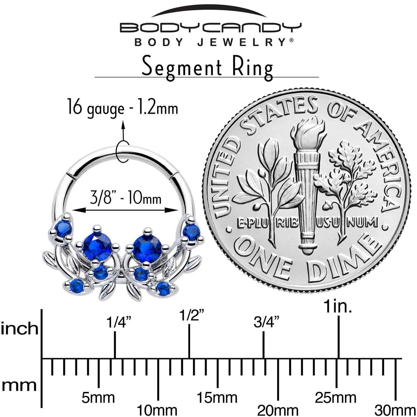 16G 3/8 Blue Gem Twining Vine Hinged Segment Ring BodyCandy
