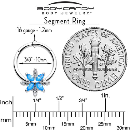 16G 3/8 Blue CZ Gem Classic Flower Hinged Segment Ring BodyCandy