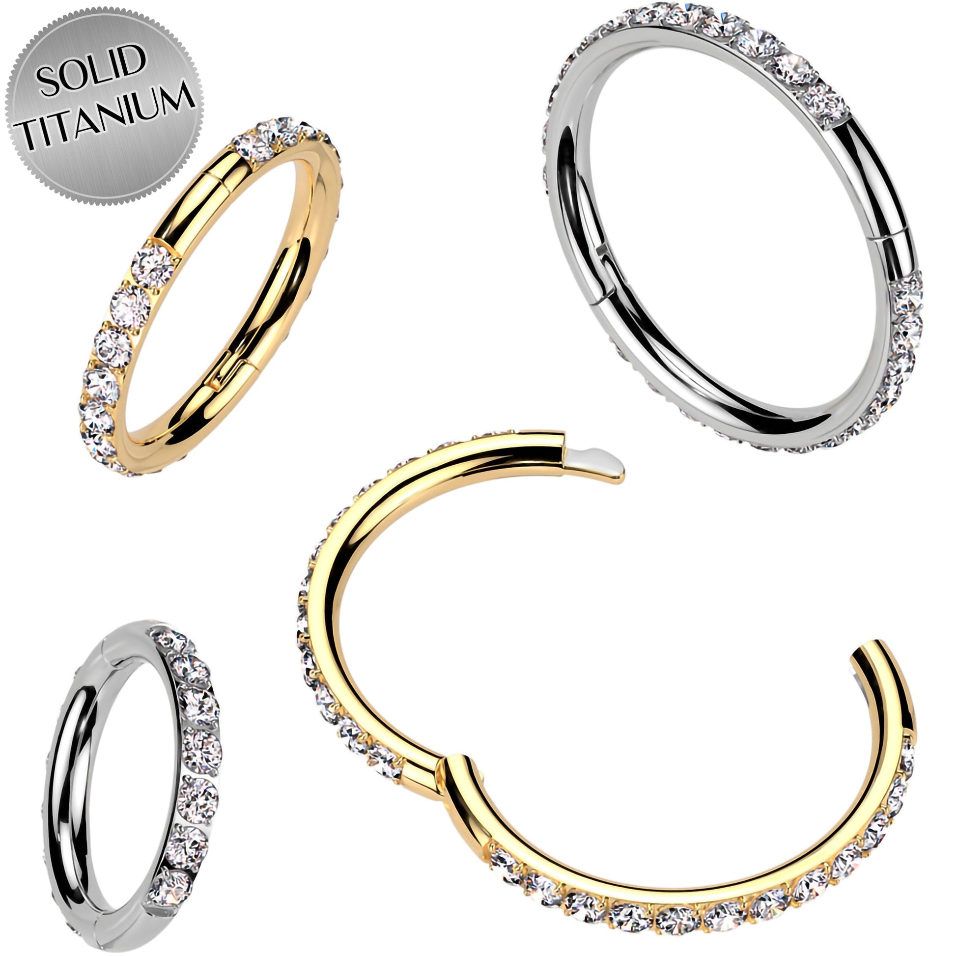 Implant Grade Titanium Forward CZ Double Sided Hoop Segment Ring BodyCandy