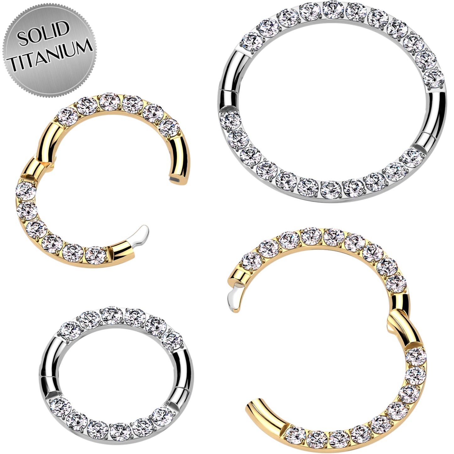 16G Implant Grade Titanium CZ Double Row Hoop Segment Ring BodyCandy