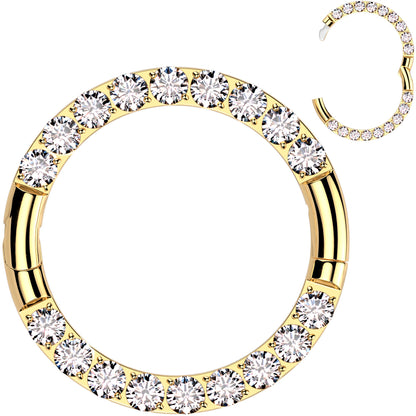 16G Implant Grade Titanium CZ Double Row Hoop Segment Ring BodyCandy