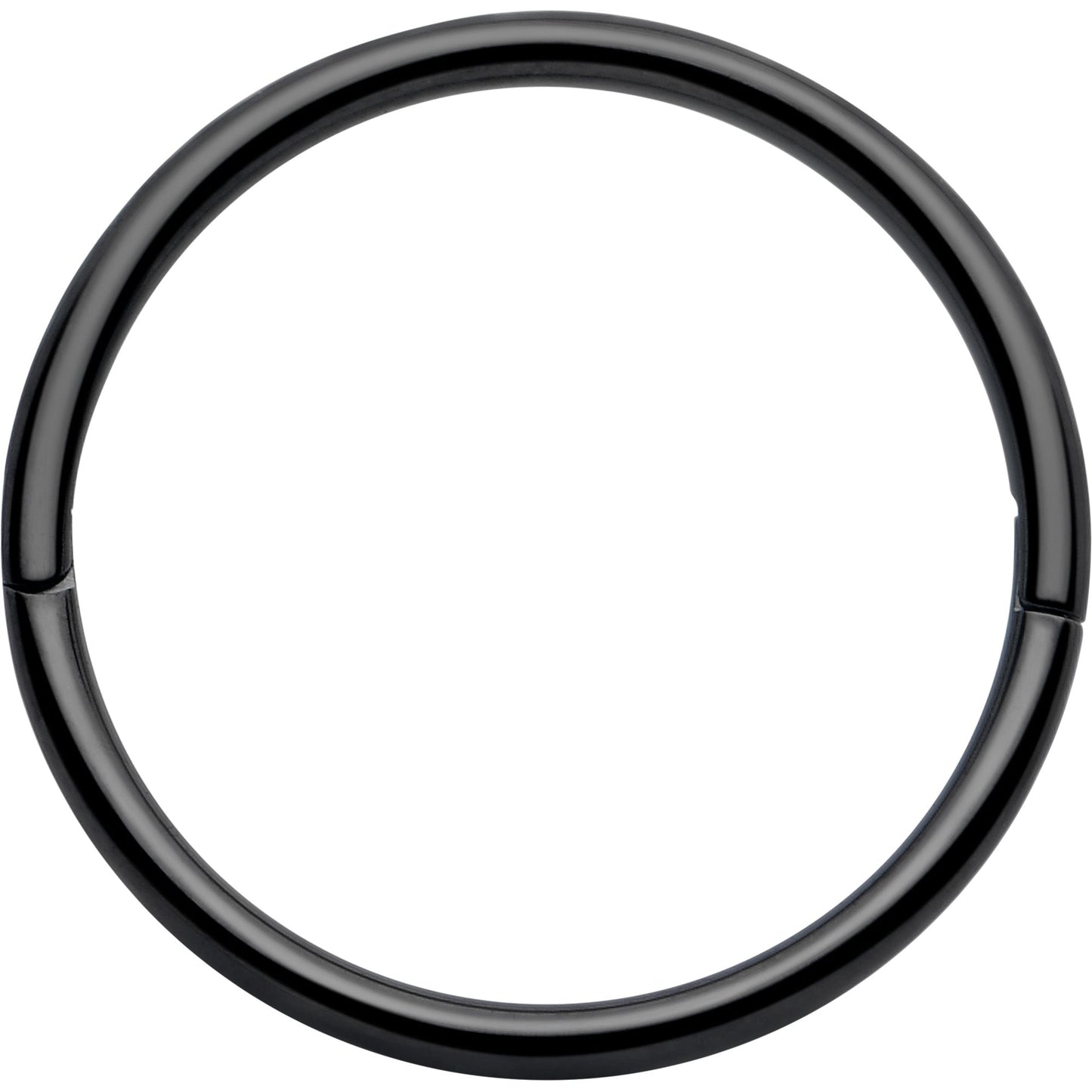 20G Implant Grade Titanium Half Closure Hinged Segment Ring BodyCandy