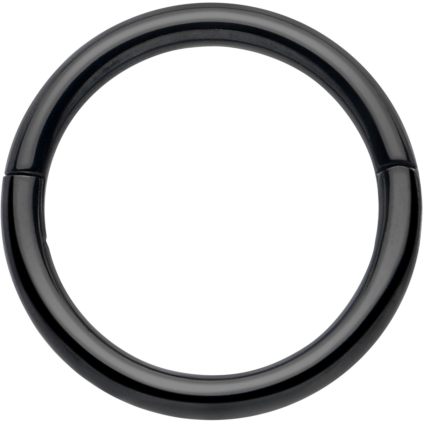 20G Implant Grade Titanium Half Closure Hinged Segment Ring BodyCandy