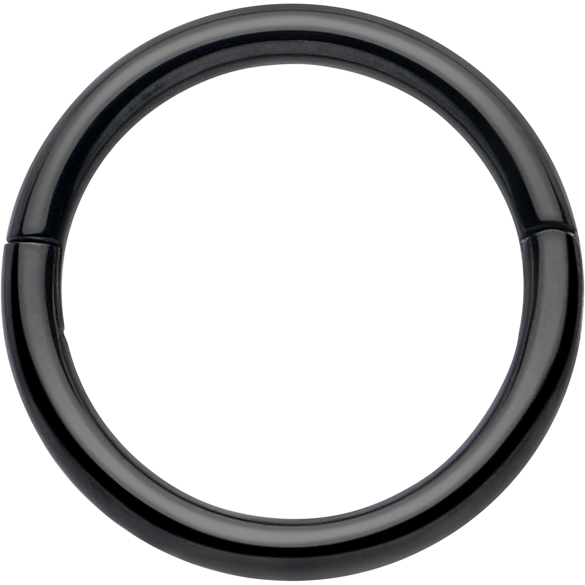 20G Implant Grade Titanium Half Closure Hinged Segment Ring BodyCandy