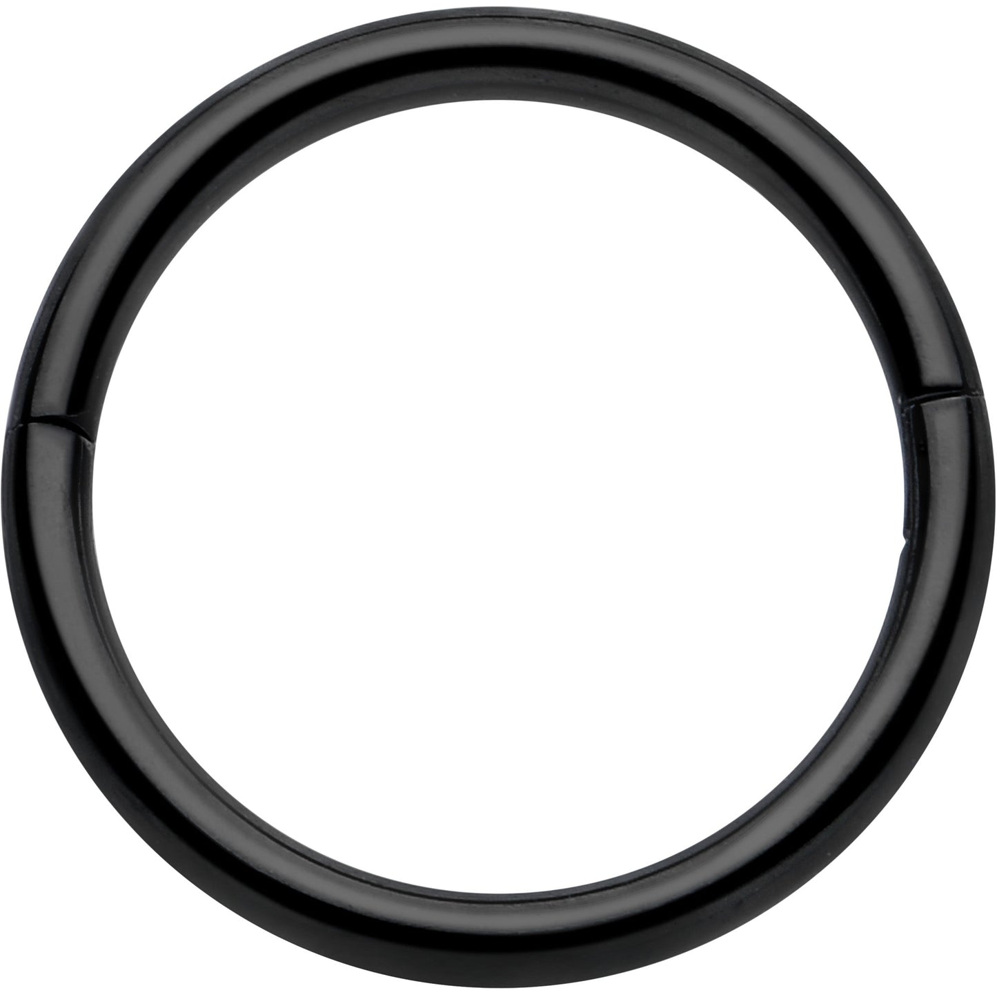 20G Implant Grade Titanium Half Closure Hinged Segment Ring BodyCandy