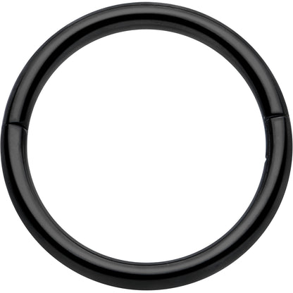 20G Implant Grade Titanium Half Closure Hinged Segment Ring BodyCandy