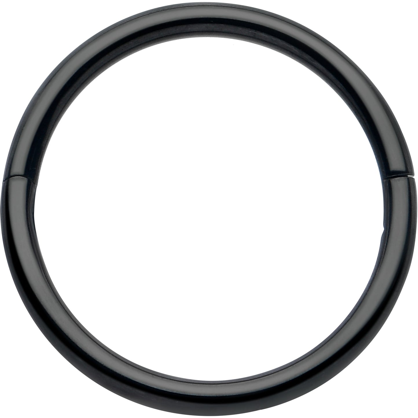20G Implant Grade Titanium Half Closure Hinged Segment Ring BodyCandy
