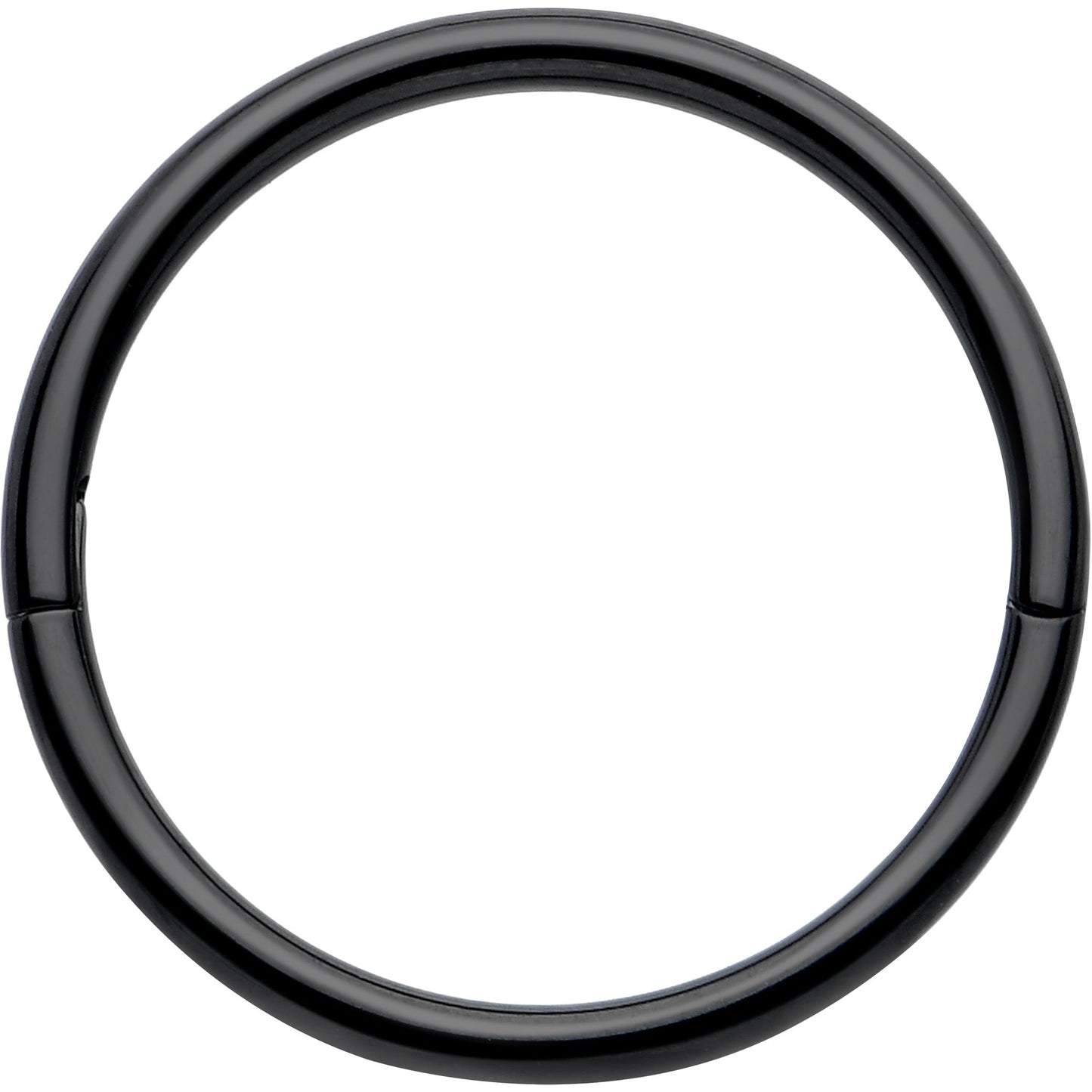 20G Implant Grade Titanium Half Closure Hinged Segment Ring BodyCandy