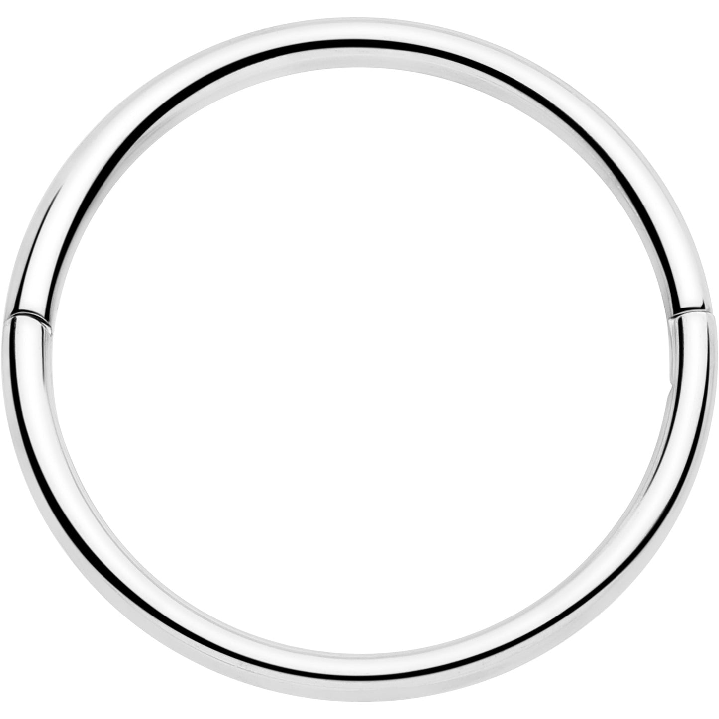 20G Implant Grade Titanium Half Closure Hinged Segment Ring BodyCandy