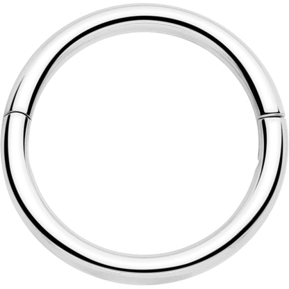20G Implant Grade Titanium Half Closure Hinged Segment Ring BodyCandy