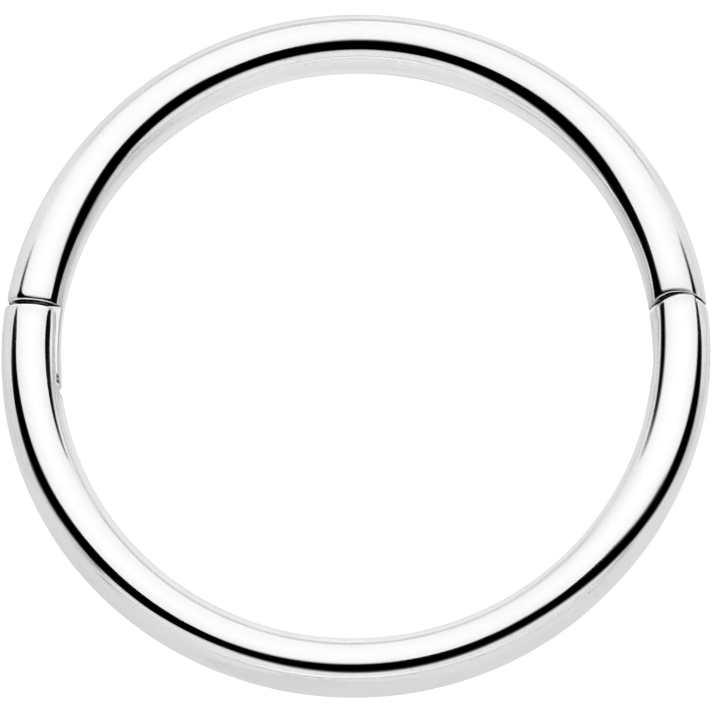 20G Implant Grade Titanium Half Closure Hinged Segment Ring BodyCandy