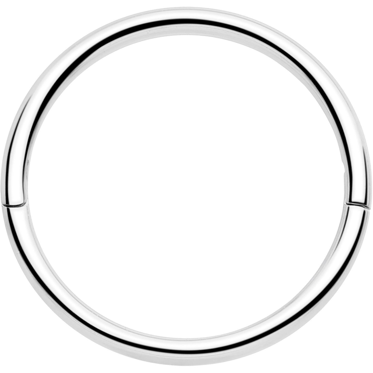 20G Implant Grade Titanium Half Closure Hinged Segment Ring BodyCandy