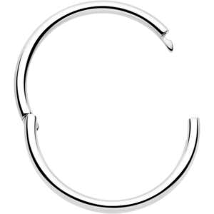 20G Implant Grade Titanium Half Closure Hinged Segment Ring BodyCandy