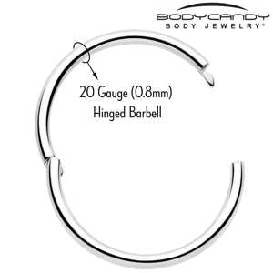 20G Implant Grade Titanium Half Closure Hinged Segment Ring BodyCandy
