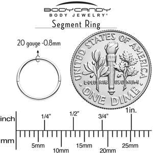 20G Implant Grade Titanium Half Closure Hinged Segment Ring BodyCandy
