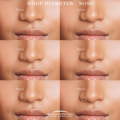 20G CZ Double Row Checkerboard Implant Grade Titanium Nose Hoop BodyCandy