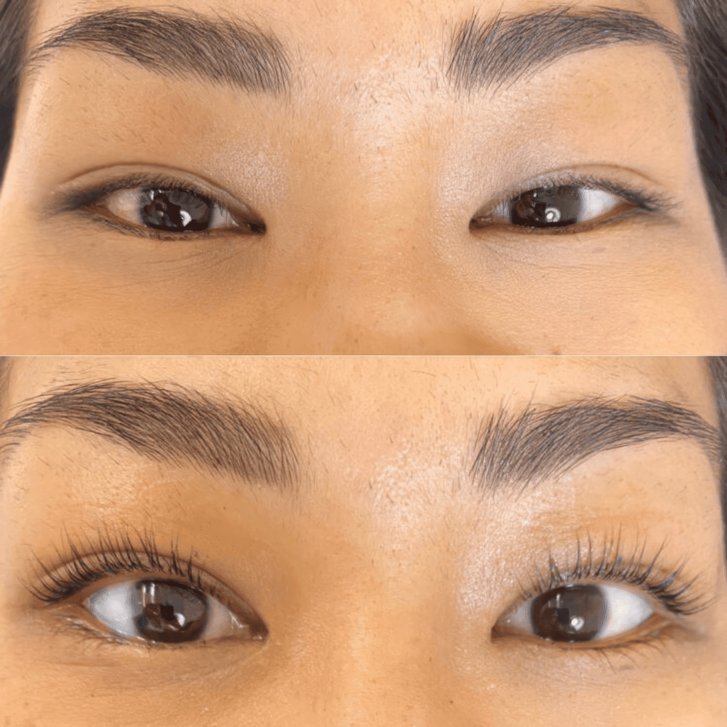 Luxe Lashlift Set (BUY 1 GET 1 FREE) Luxe Cosmetics US