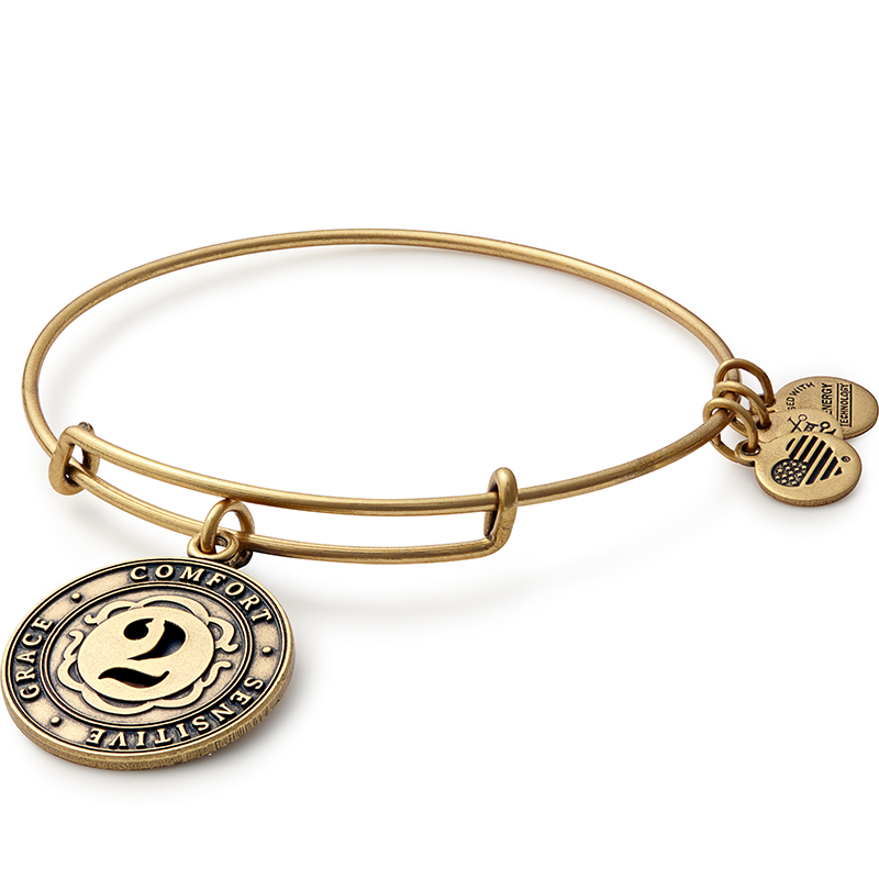 Number 2 Charm Bangle Bracelet | Grace, Comfort, and Sensitive ALEX AND ANI