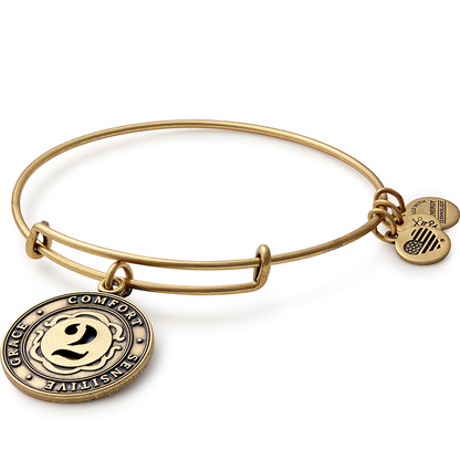Number 2 Charm Bangle Bracelet | Grace, Comfort, and Sensitive ALEX AND ANI