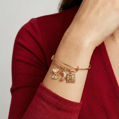 Pasta Multi Charm Bangle ALEX AND ANI