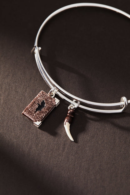 Harry Potter™ Diary and Basilisk Fang Bangle ALEX AND ANI