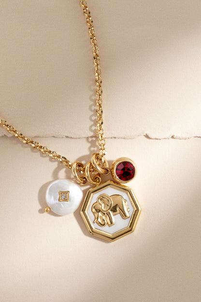 January Birthstone Interchangeable Charm ALEX AND ANI