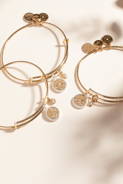 Capricorn Zodiac Charm Bangle ALEX AND ANI