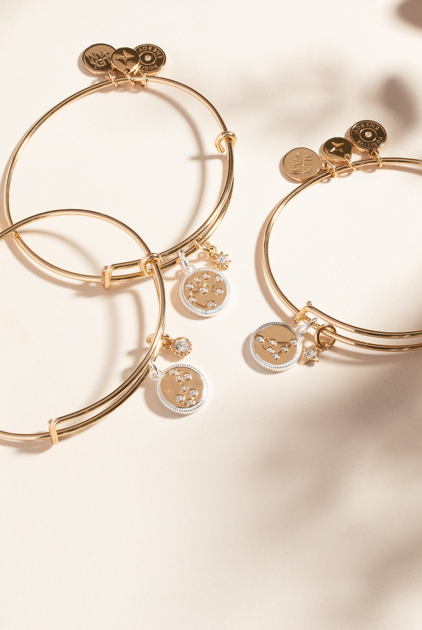 Sagittarius Zodiac Charm Bangle ALEX AND ANI