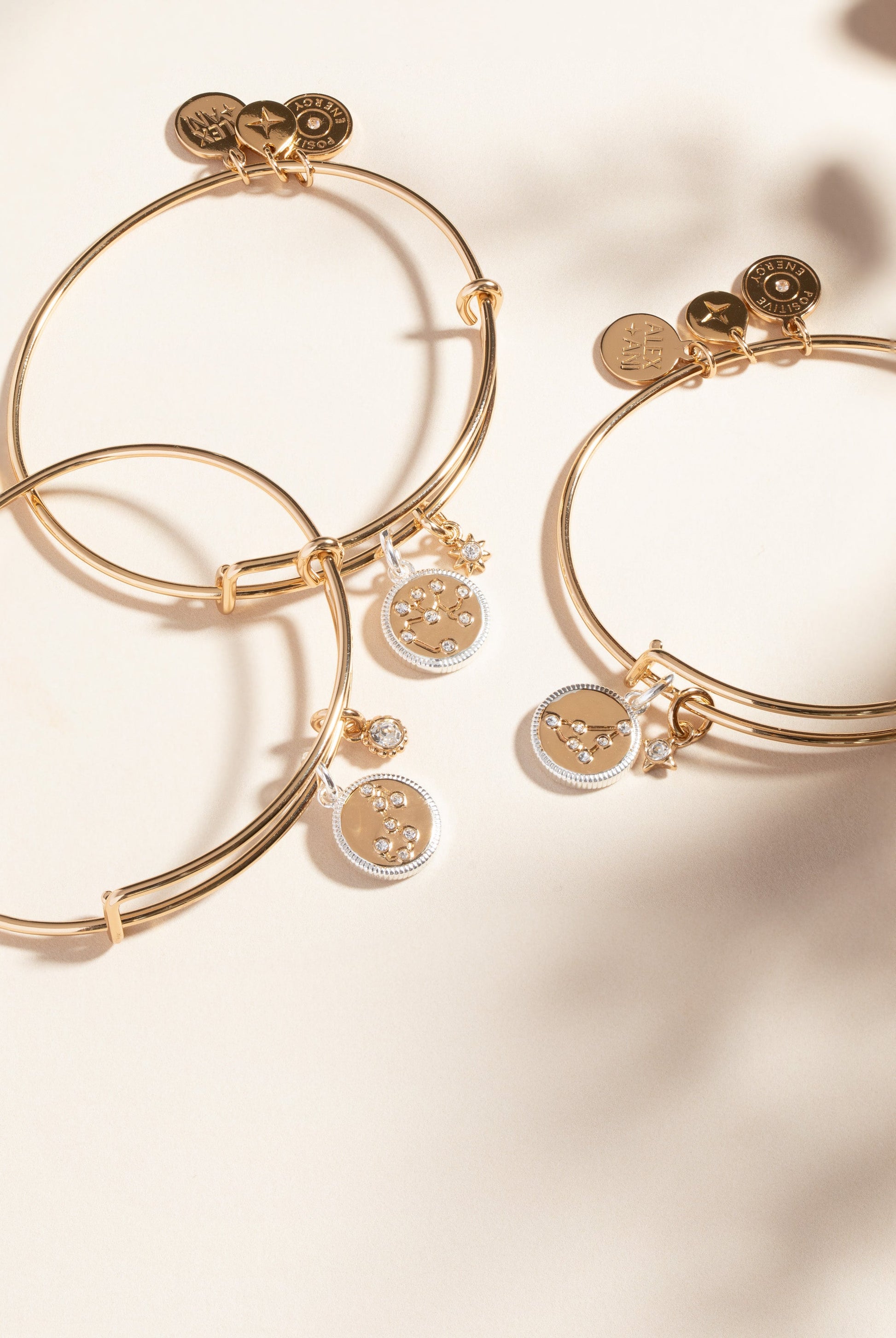 Sagittarius Zodiac Charm Bangle ALEX AND ANI