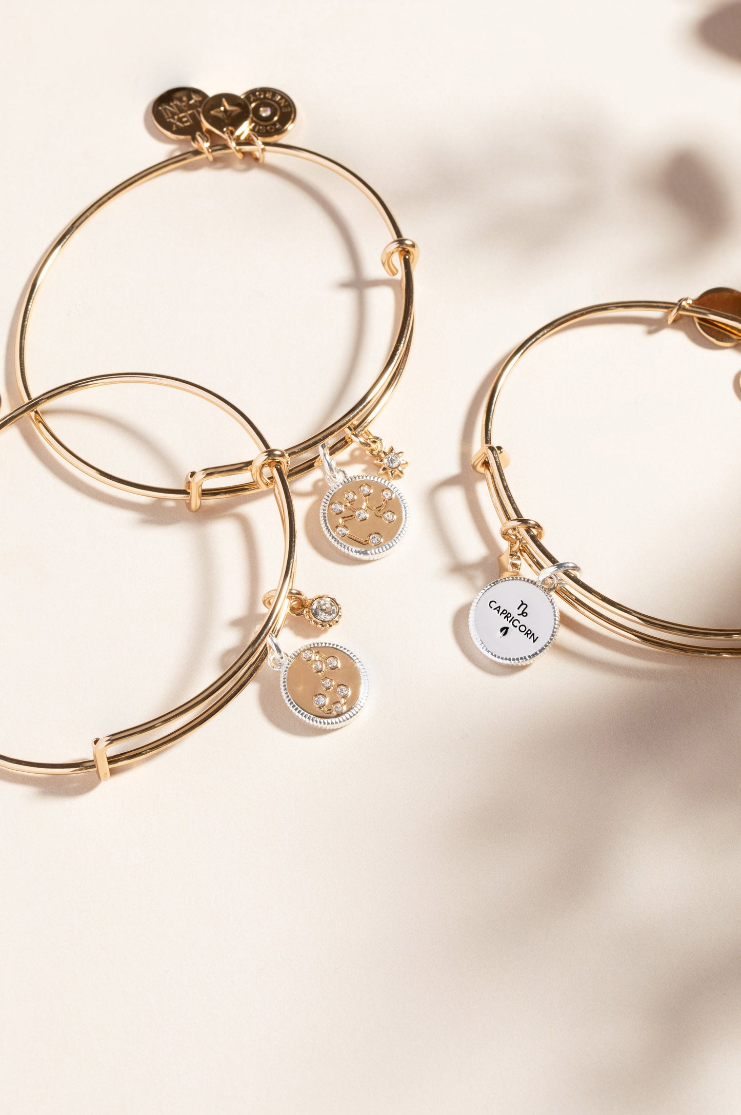 Capricorn Zodiac Charm Bangle ALEX AND ANI