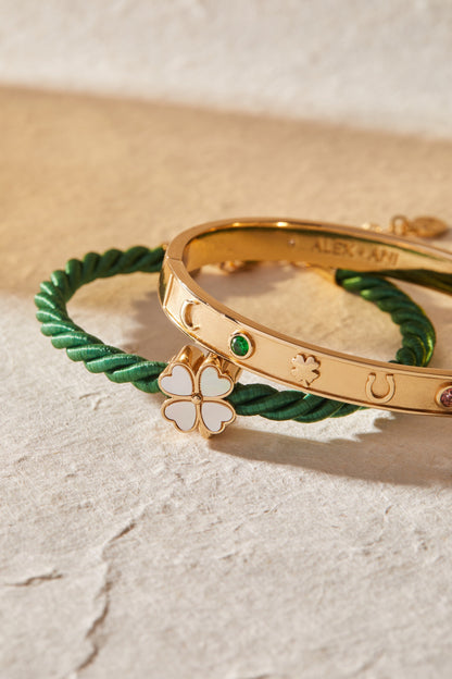 Lucky Hinge Bangle ALEX AND ANI
