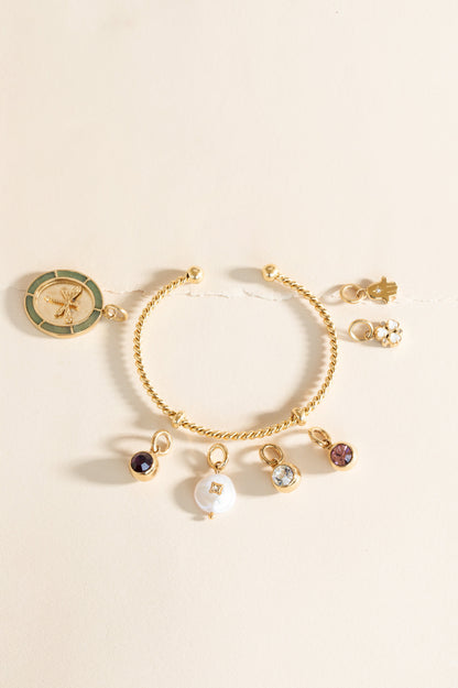 February Birthstone Interchangeable Charm ALEX AND ANI