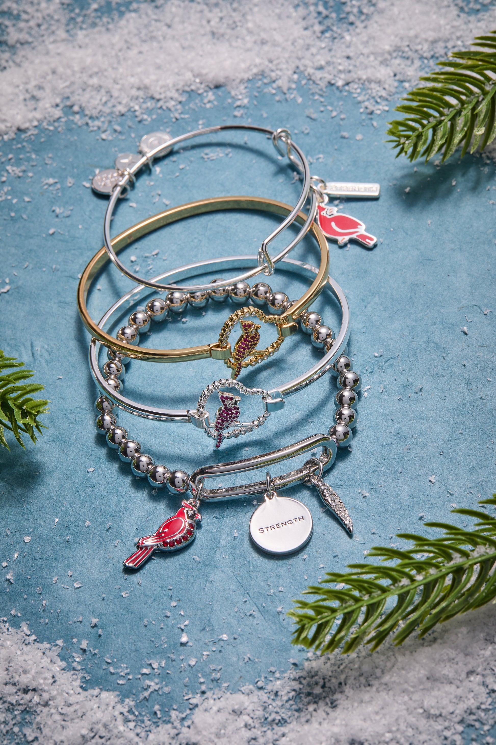 'Strength' Cardinal Duo Charm Bangle Bracelet ALEX AND ANI