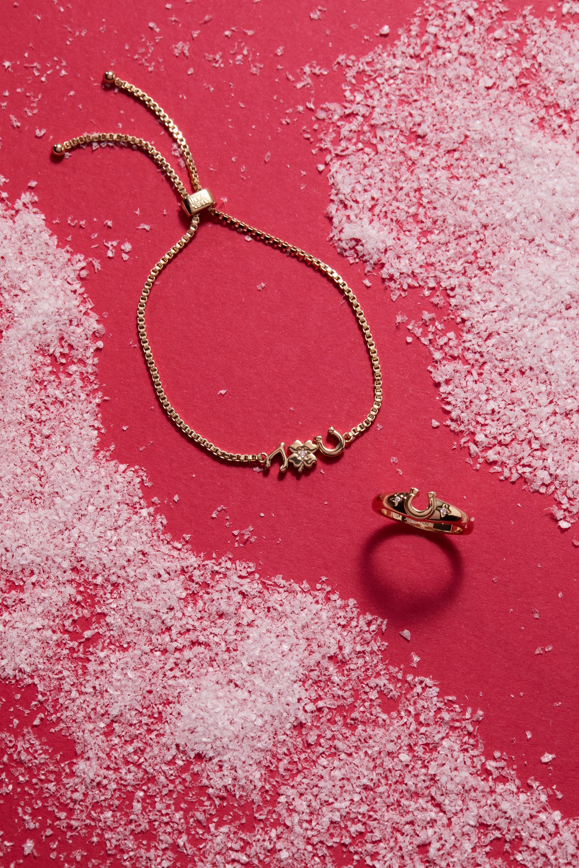 Lucky Horseshoe Ring ALEX AND ANI