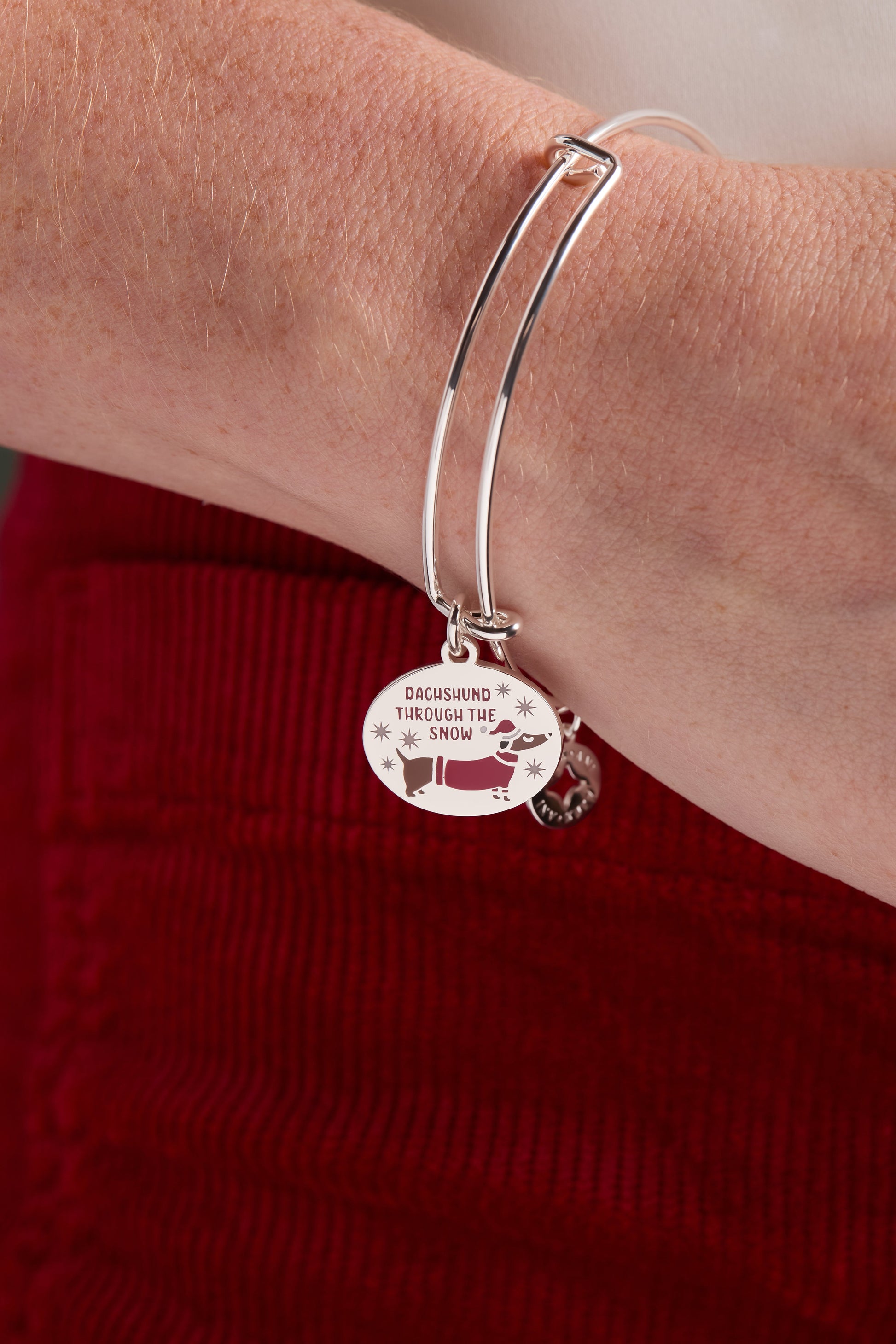 'Dachshund Through The Snow' Dog Charm Bangle ALEX AND ANI