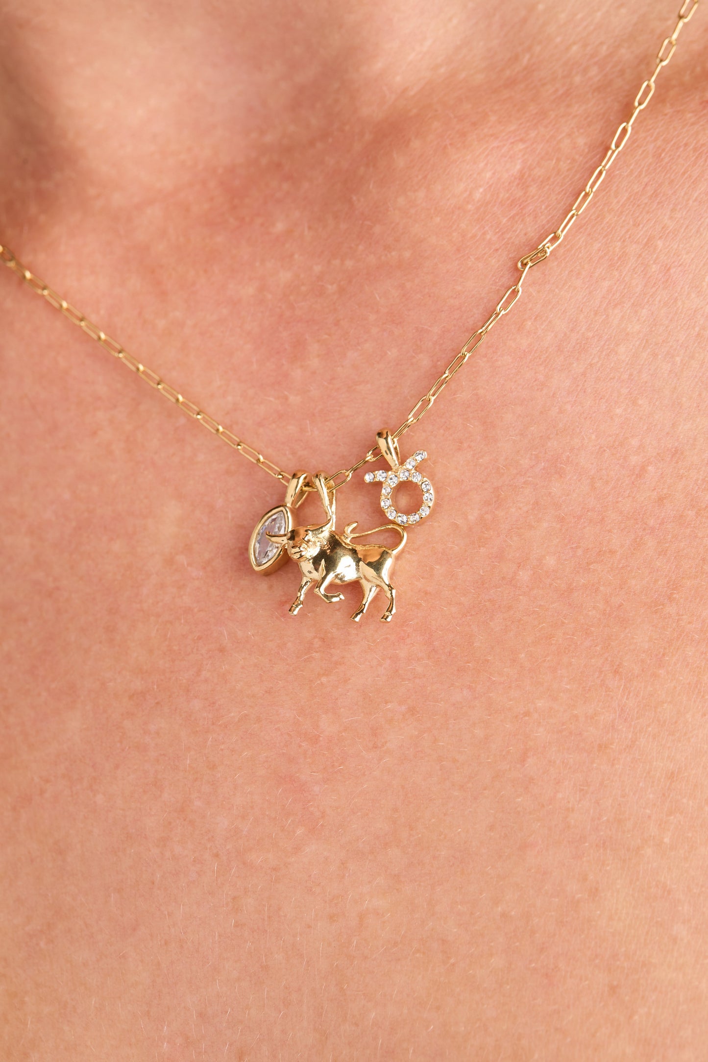 Taurus Zodiac Charm Cluster Necklace ALEX AND ANI