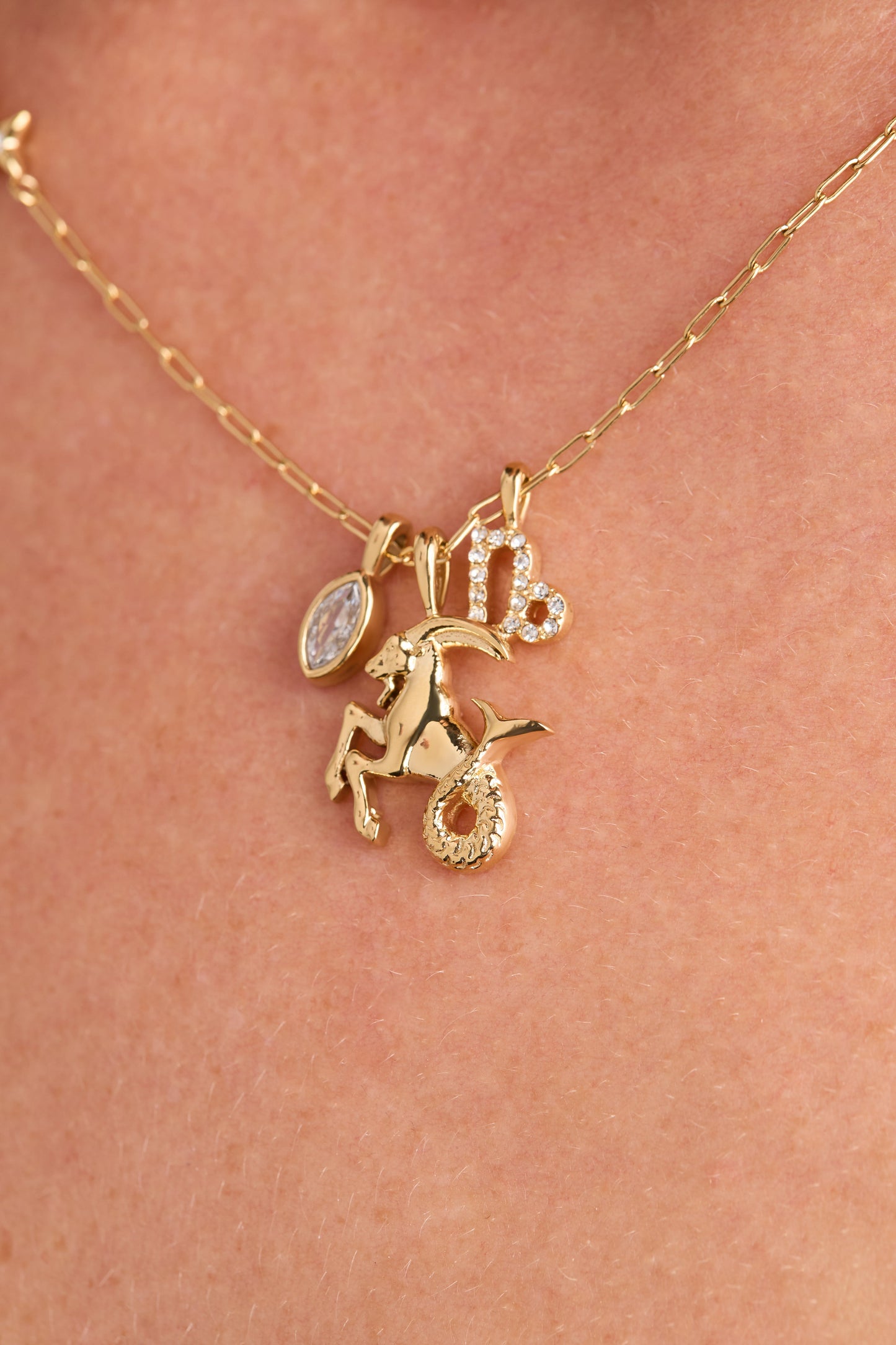 Capricorn Zodiac Charm Cluster Necklace ALEX AND ANI