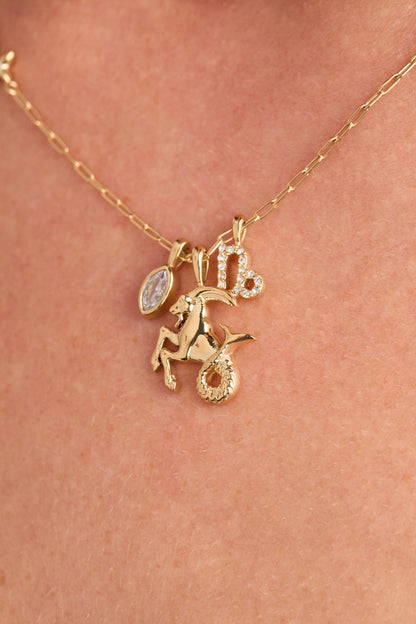 Capricorn Zodiac Charm Cluster Necklace ALEX AND ANI
