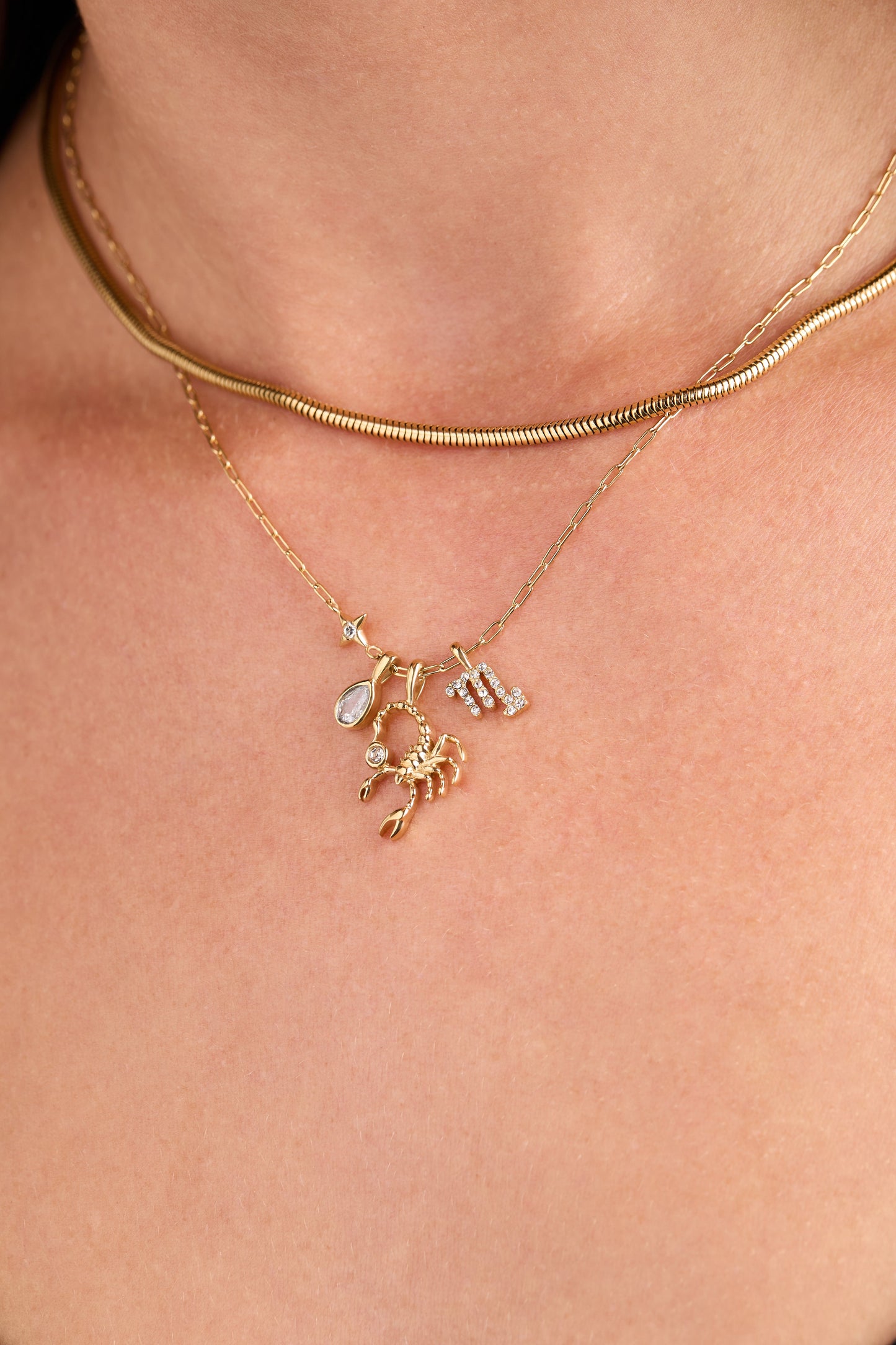 Scorpio Zodiac Charm Cluster Necklace ALEX AND ANI