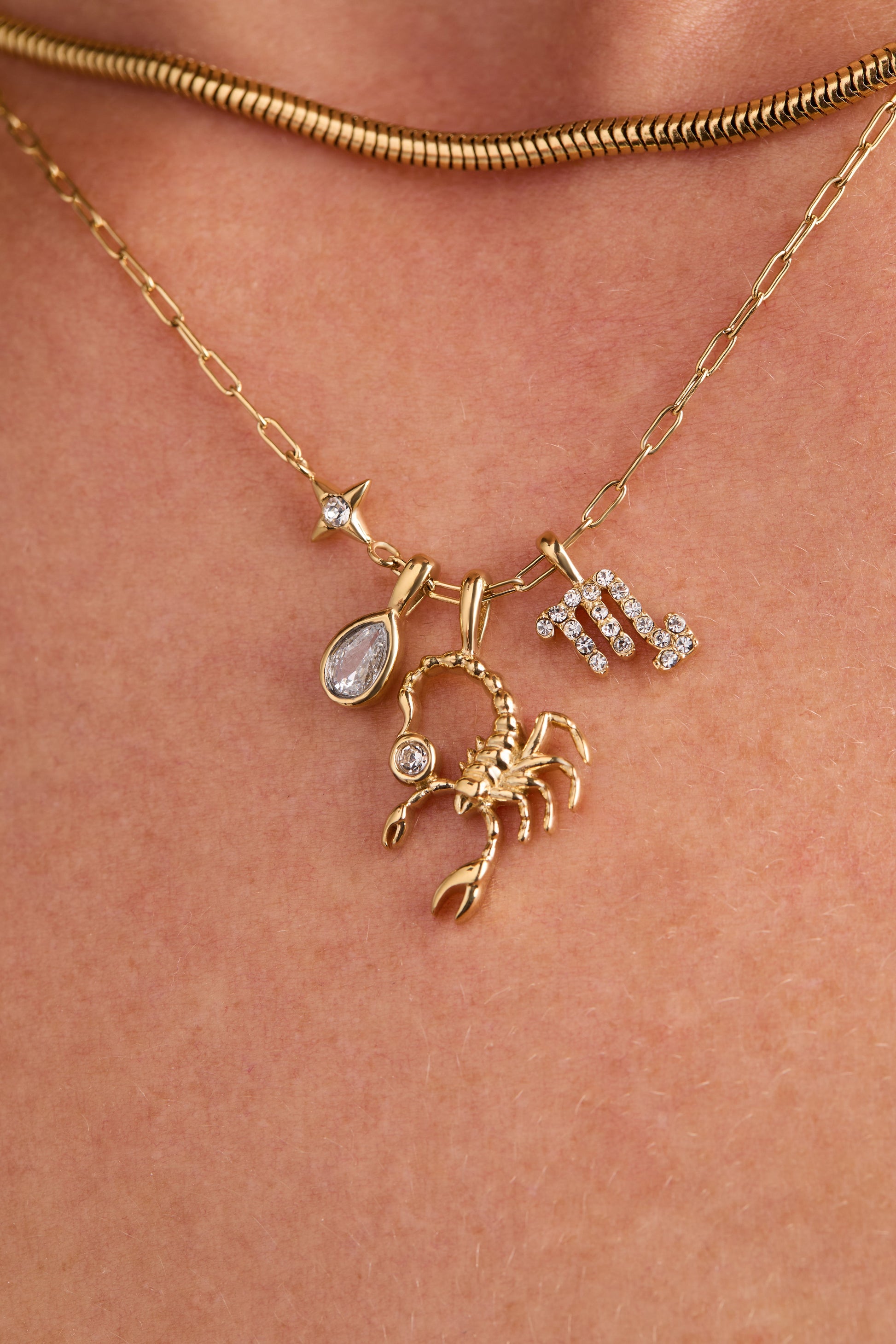 Scorpio Zodiac Charm Cluster Necklace ALEX AND ANI