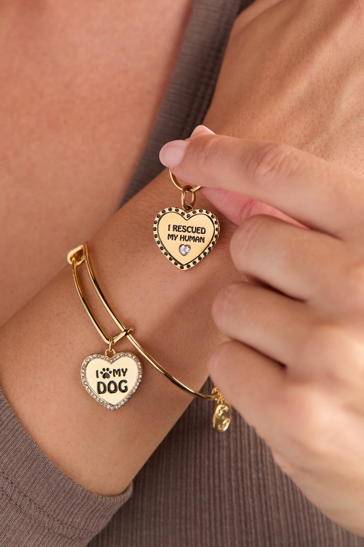 'I Love My Dog' Bangle & Pet Collar Charm Set of 2 ALEX AND ANI